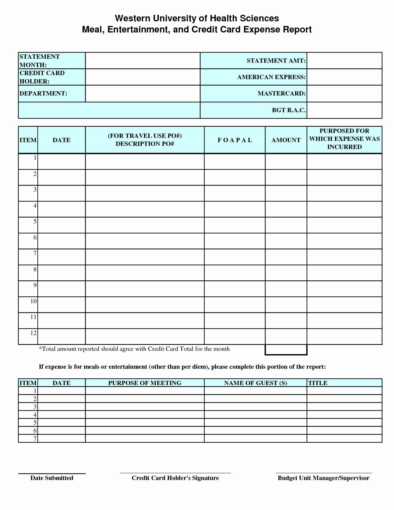 Credit Card Expense Report Template Forms   Fillable & Printable 