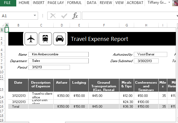 travel budget template excel